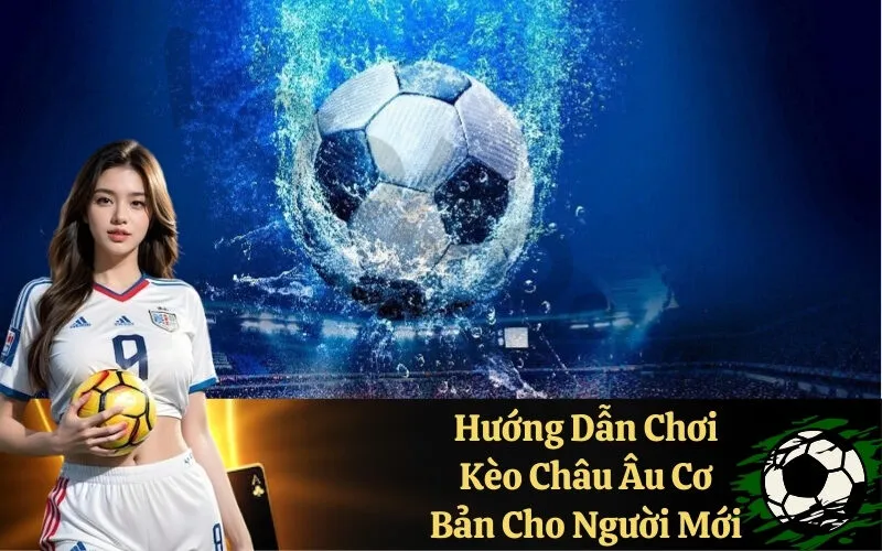 Hướng Dẫn Chơi Kèo Châu Âu Cơ Bản Cho Người Mới