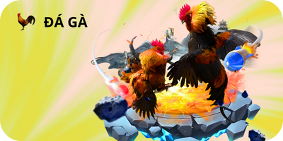 đá gà Xoso66
